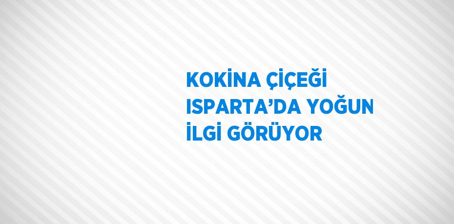 KOKİNA ÇİÇEĞİ ISPARTA’DA YOĞUN İLGİ GÖRÜYOR