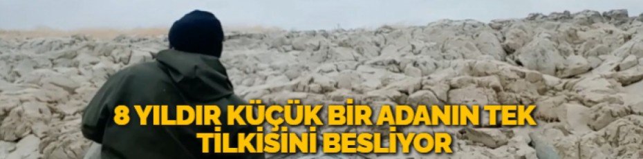 8 YILDIR KÜÇÜK BİR ADANIN TEK TİLKİSİNİ BESLİYOR