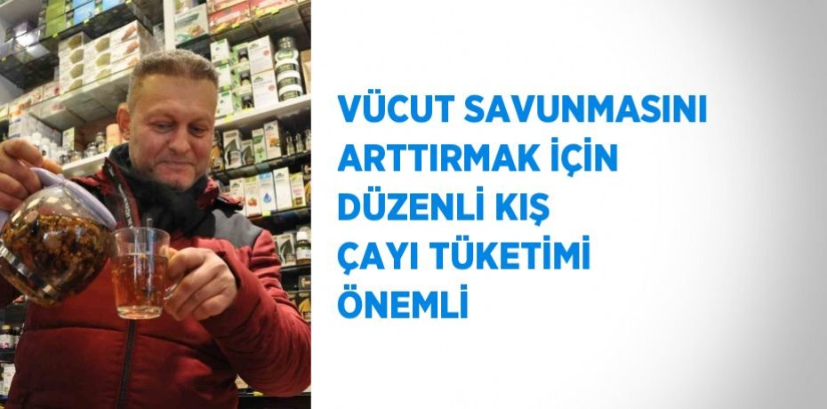 VÜCUT SAVUNMASINI ARTTIRMAK İÇİN DÜZENLİ KIŞ ÇAYI TÜKETİMİ ÖNEMLİ