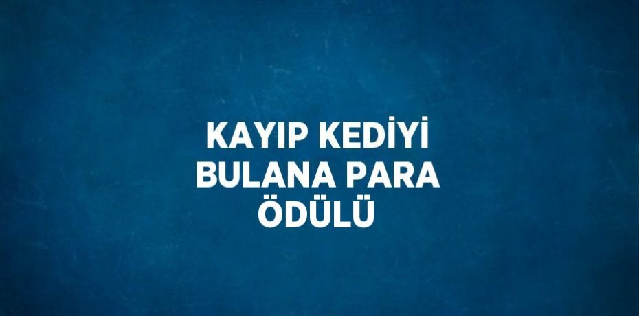 KAYIP KEDİYİ BULANA PARA ÖDÜLÜ