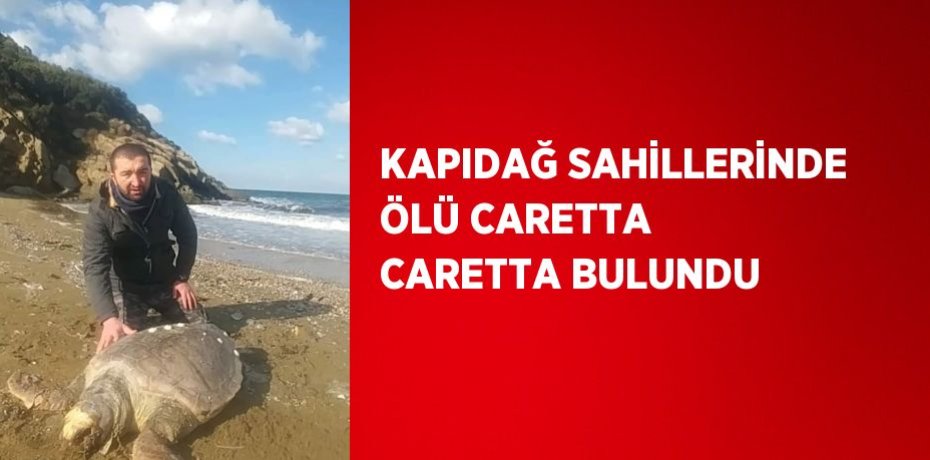 KAPIDAĞ SAHİLLERİNDE ÖLÜ CARETTA CARETTA BULUNDU