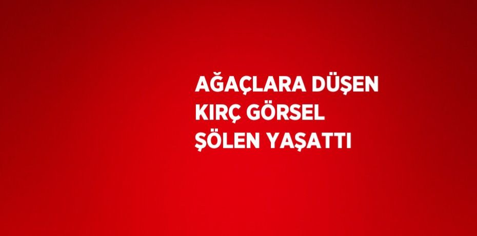 AĞAÇLARA DÜŞEN KIRÇ GÖRSEL ŞÖLEN YAŞATTI