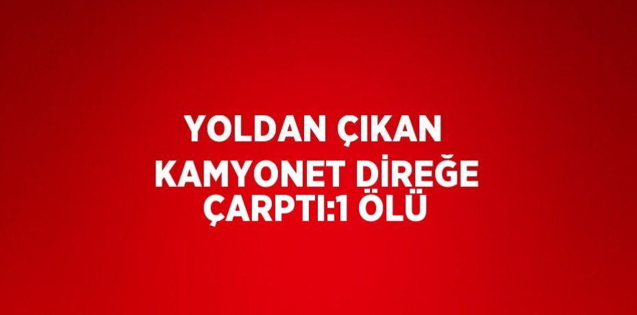 YOLDAN ÇIKAN KAMYONET DİREĞE ÇARPTI:1 ÖLÜ