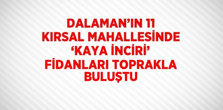 DALAMAN’IN 11 KIRSAL MAHALLESİNDE ‘KAYA İNCİRİ’ FİDANLARI TOPRAKLA BULUŞTU
