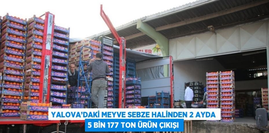 YALOVA’DAKİ MEYVE SEBZE HALİNDEN 2 AYDA 5 BİN 177 TON ÜRÜN ÇIKIŞI
