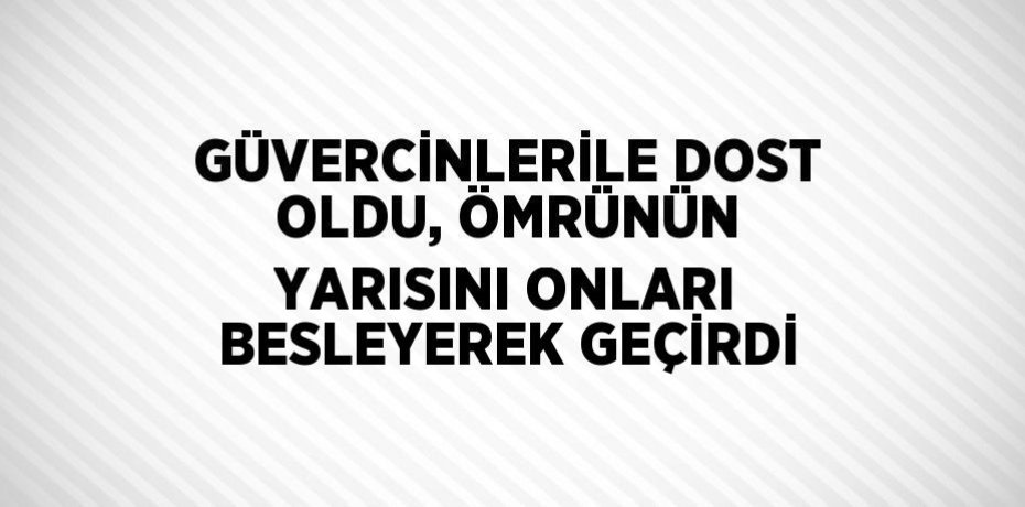 GÜVERCİNLERİLE DOST OLDU, ÖMRÜNÜN YARISINI ONLARI BESLEYEREK GEÇİRDİ