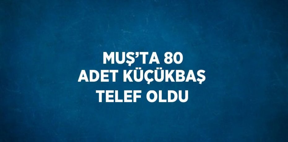 MUŞ’TA 80 ADET KÜÇÜKBAŞ TELEF OLDU