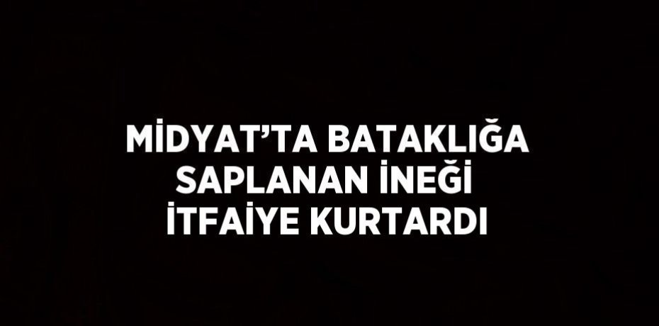 MİDYAT’TA BATAKLIĞA SAPLANAN İNEĞİ İTFAİYE KURTARDI