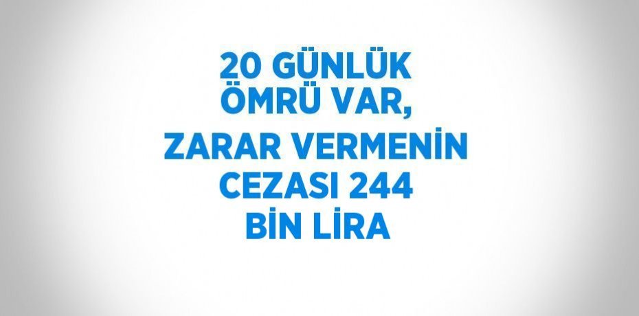 20 GÜNLÜK ÖMRÜ VAR, ZARAR VERMENİN CEZASI 244 BİN LİRA