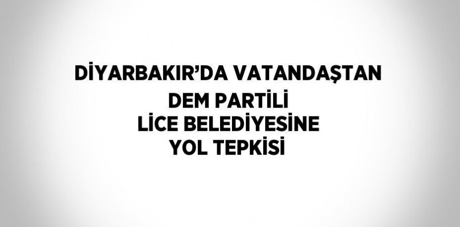 DİYARBAKIR’DA VATANDAŞTAN DEM PARTİLİ LİCE BELEDİYESİNE YOL TEPKİSİ
