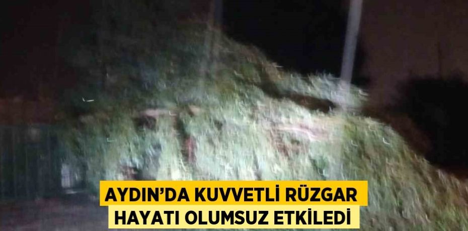 AYDIN’DA KUVVETLİ RÜZGAR HAYATI OLUMSUZ ETKİLEDİ