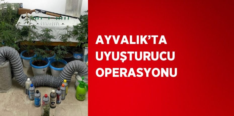 AYVALIK’TA UYUŞTURUCU OPERASYONU