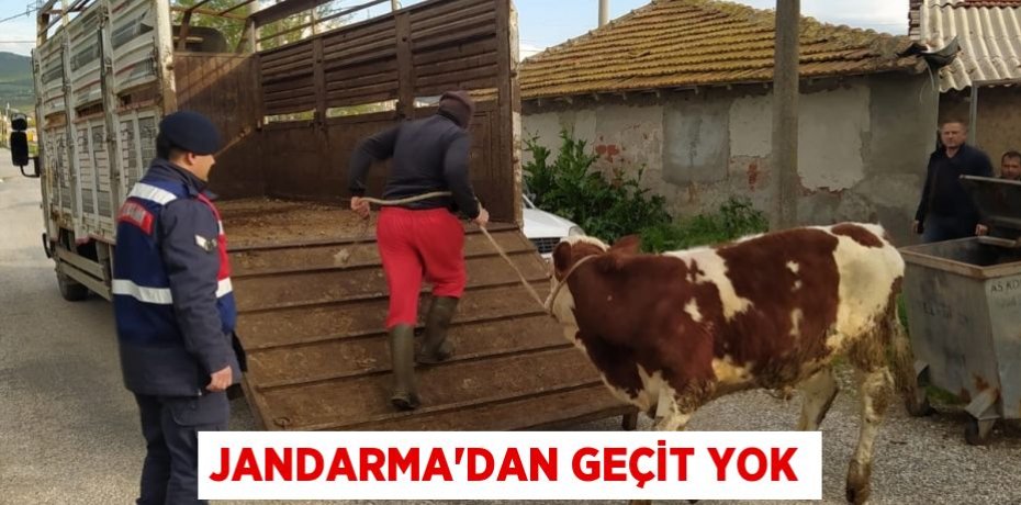 JANDARMA'DAN GEÇİT YOK