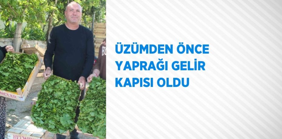 ÜZÜMDEN ÖNCE YAPRAĞI GELİR KAPISI OLDU