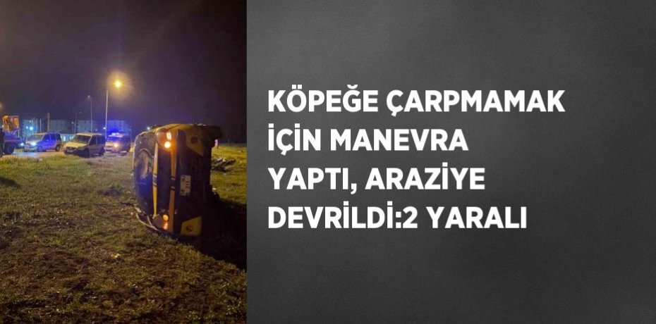 KÖPEĞE ÇARPMAMAK İÇİN MANEVRA YAPTI, ARAZİYE DEVRİLDİ:2 YARALI
