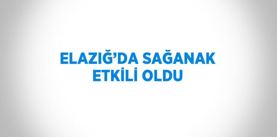 ELAZIĞ’DA SAĞANAK ETKİLİ OLDU