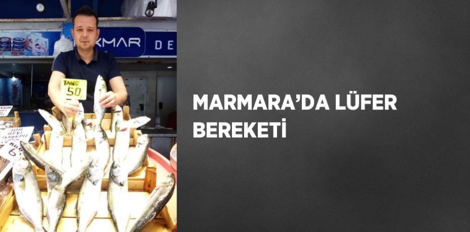 MARMARA’DA LÜFER BEREKETİ