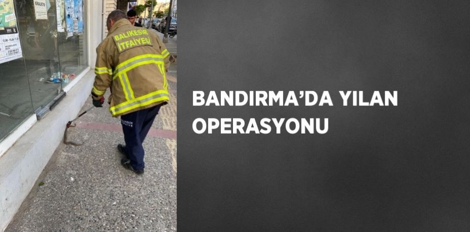 BANDIRMA’DA YILAN OPERASYONU