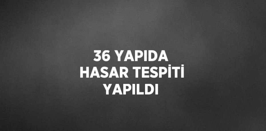 36 YAPIDA HASAR TESPİTİ YAPILDI