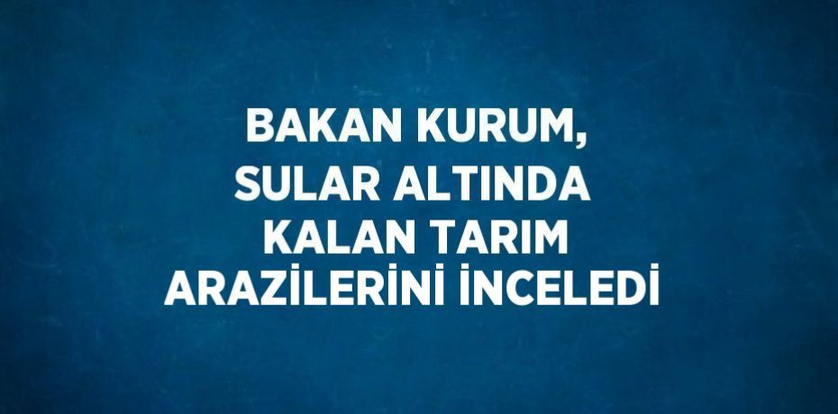BAKAN KURUM, SULAR ALTINDA KALAN TARIM ARAZİLERİNİ İNCELEDİ