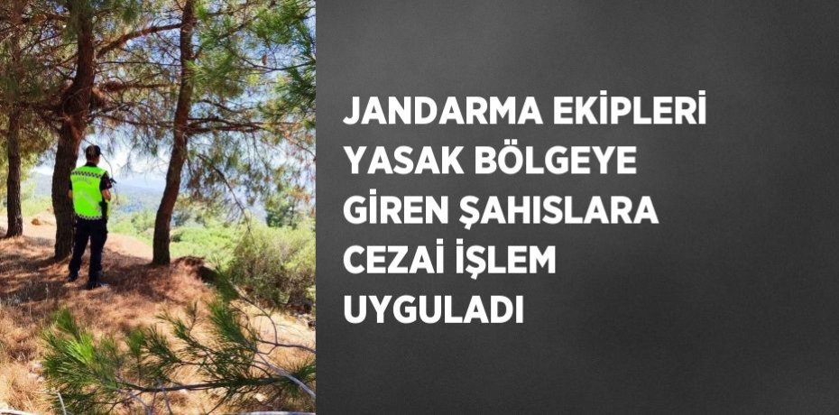 JANDARMA EKİPLERİ YASAK BÖLGEYE GİREN ŞAHISLARA CEZAİ İŞLEM UYGULADI