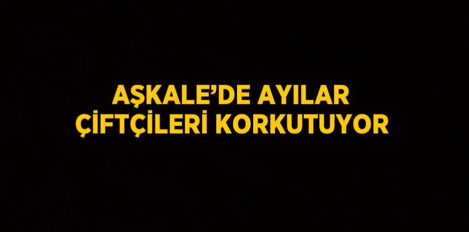 AŞKALE’DE AYILAR ÇİFTÇİLERİ KORKUTUYOR