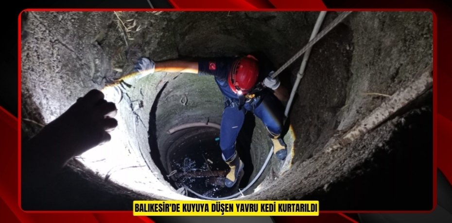 Balıkesir'de kuyuya düşen yavru kedi kurtarıldı  