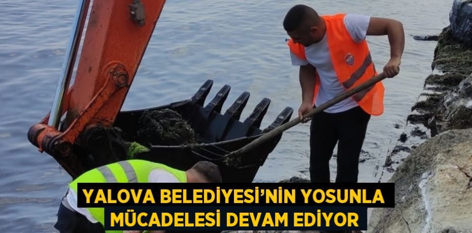 YALOVA BELEDİYESİ’NİN YOSUNLA MÜCADELESİ DEVAM EDİYOR