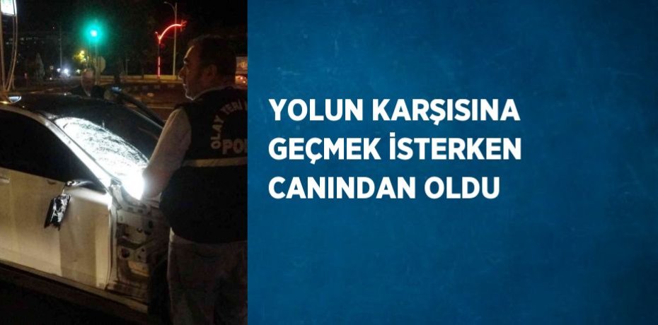 YOLUN KARŞISINA GEÇMEK İSTERKEN CANINDAN OLDU