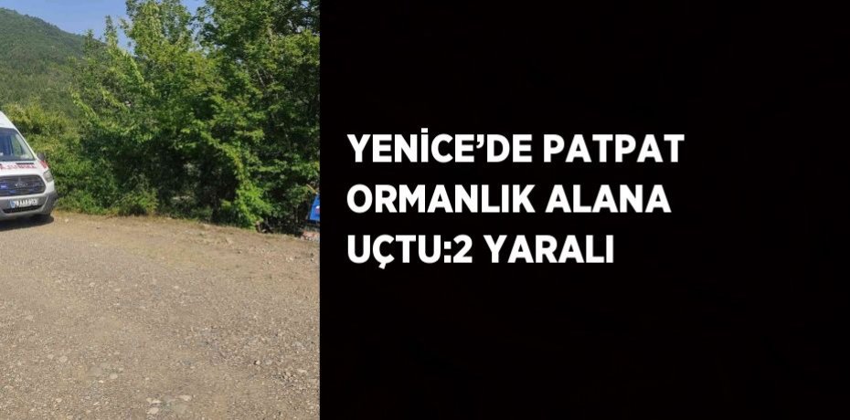 YENİCE’DE PATPAT ORMANLIK ALANA UÇTU:2 YARALI