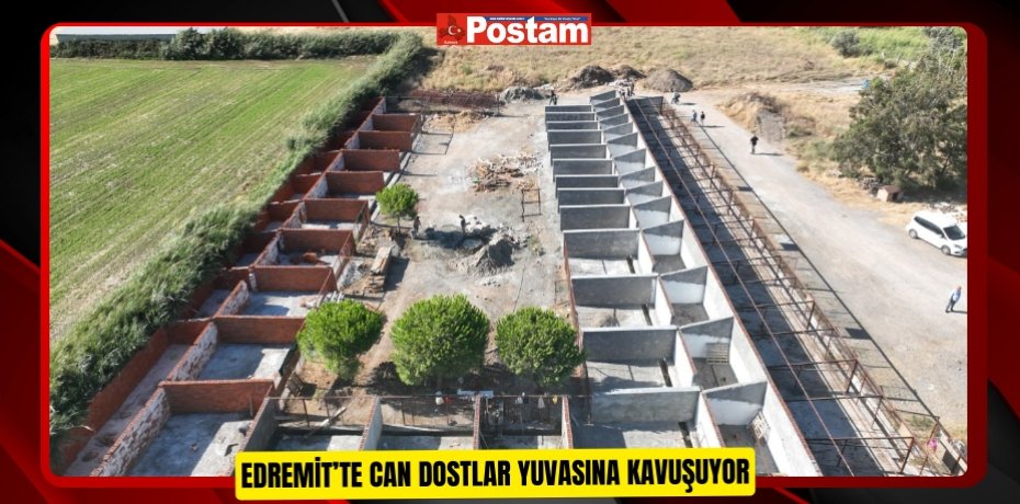 Edremit’te can dostlar yuvasına kavuşuyor