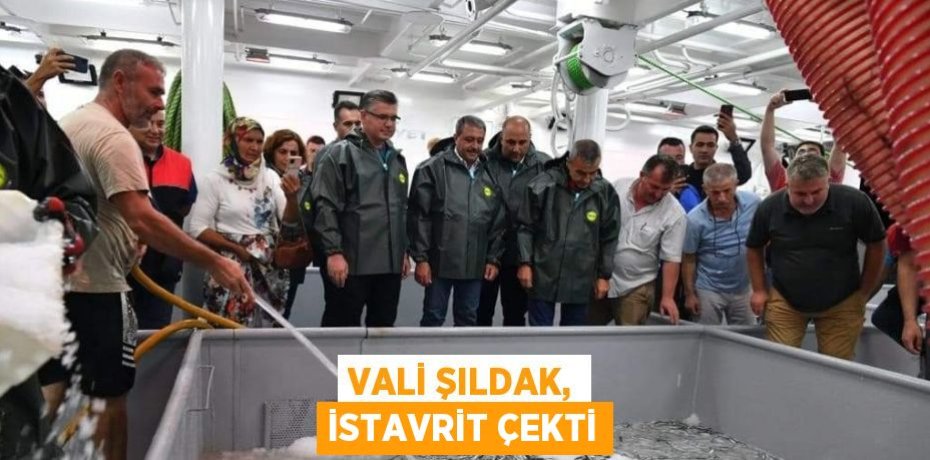 VALİ ŞILDAK, İSTAVRİT ÇEKTİ