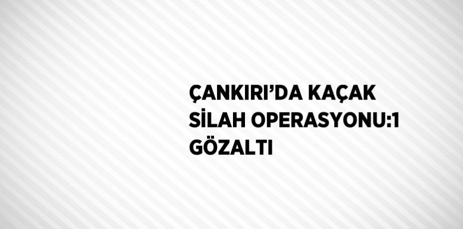 ÇANKIRI’DA KAÇAK SİLAH OPERASYONU:1 GÖZALTI