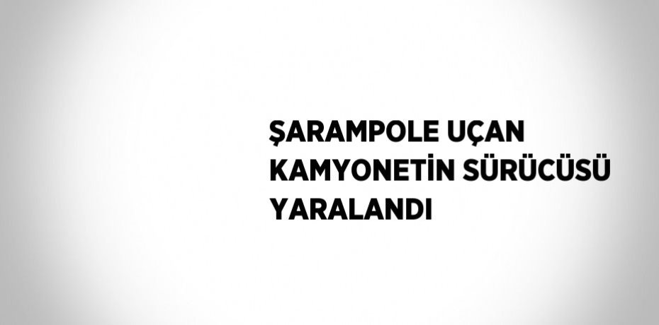 ŞARAMPOLE UÇAN KAMYONETİN SÜRÜCÜSÜ YARALANDI