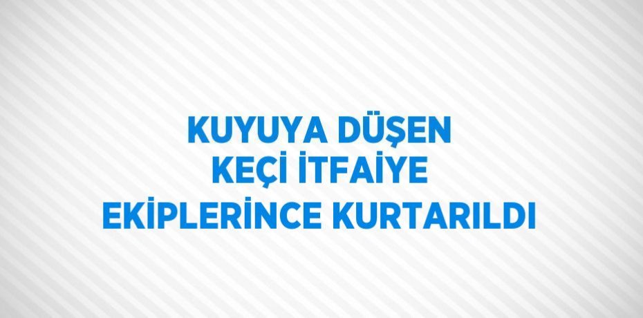 KUYUYA DÜŞEN KEÇİ İTFAİYE EKİPLERİNCE KURTARILDI