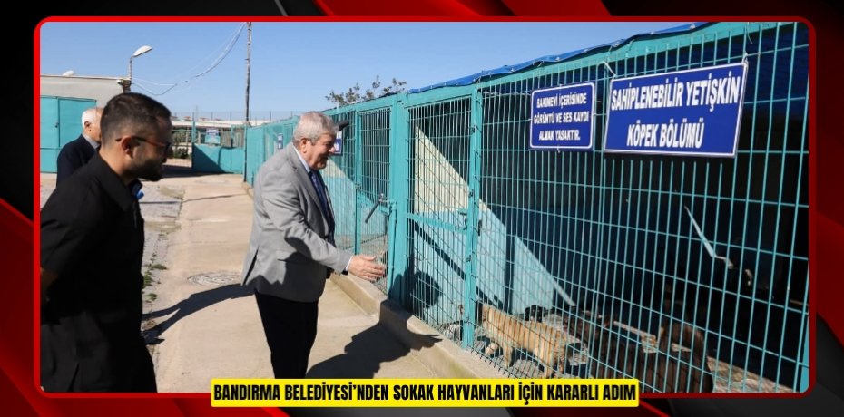 BANDIRMA BELEDİYESİ’NDEN SOKAK HAYVANLARI İÇİN KARARLI ADIM