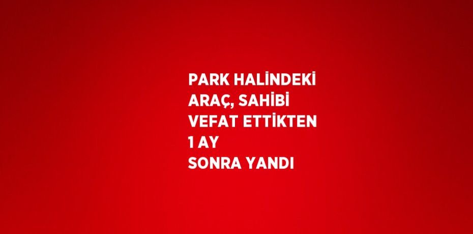 PARK HALİNDEKİ ARAÇ, SAHİBİ VEFAT ETTİKTEN 1 AY SONRA YANDI