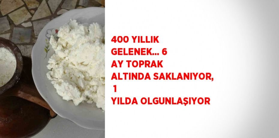 400 YILLIK GELENEK... 6 AY TOPRAK ALTINDA SAKLANIYOR,  1 YILDA OLGUNLAŞIYOR