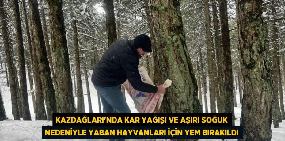 Kazdağları’nda kar yağışı ve aşırı soğuk nedeniyle yaban hayvanları için yem bırakıldı