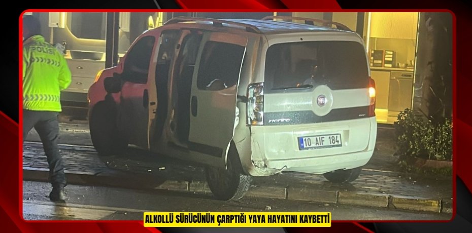 Alkollü sürücünün çarptığı yaya hayatını kaybetti