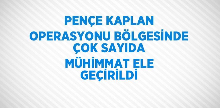 PENÇE KAPLAN OPERASYONU BÖLGESİNDE ÇOK SAYIDA MÜHİMMAT ELE GEÇİRİLDİ