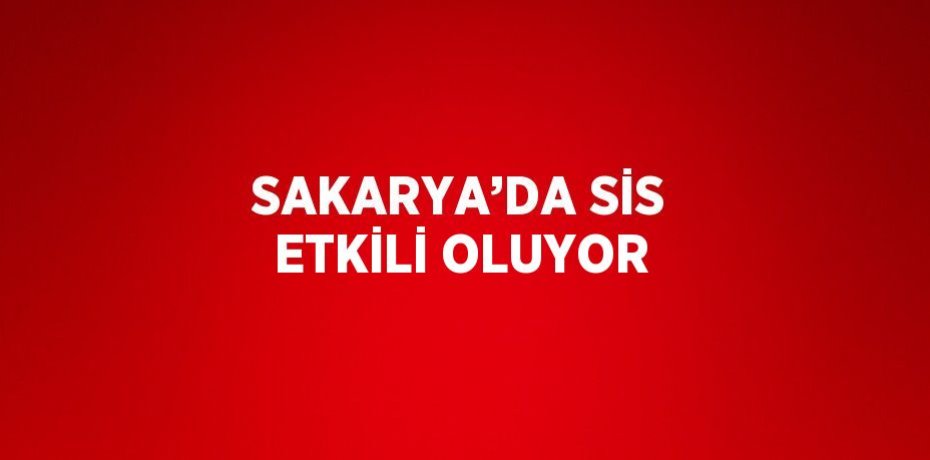 SAKARYA’DA SİS ETKİLİ OLUYOR