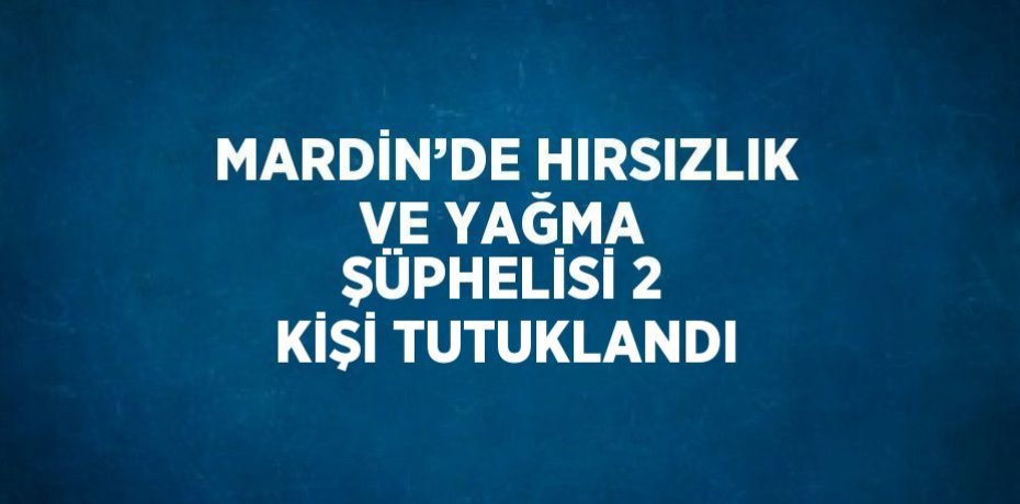 MARDİN’DE HIRSIZLIK VE YAĞMA ŞÜPHELİSİ 2 KİŞİ TUTUKLANDI