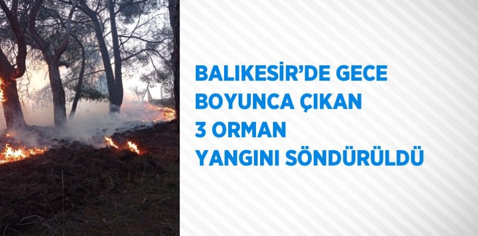 BALIKESİR’DE GECE BOYUNCA ÇIKAN 3 ORMAN YANGINI SÖNDÜRÜLDÜ