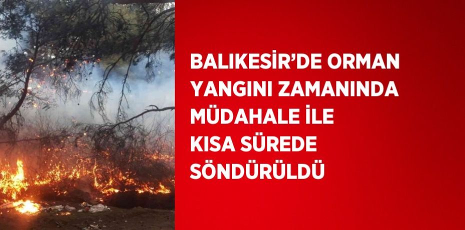 BALIKESİR’DE ORMAN YANGINI ZAMANINDA MÜDAHALE İLE KISA SÜREDE SÖNDÜRÜLDÜ