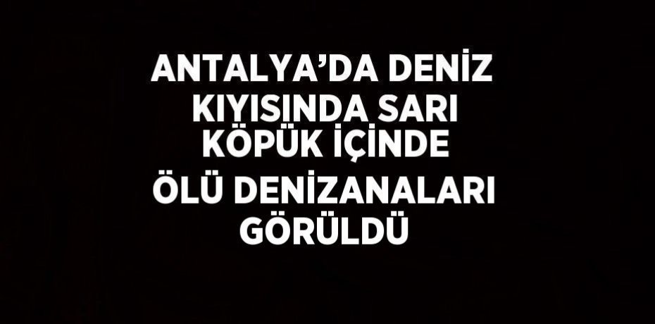 ANTALYA’DA DENİZ KIYISINDA SARI KÖPÜK İÇİNDE ÖLÜ DENİZANALARI GÖRÜLDÜ