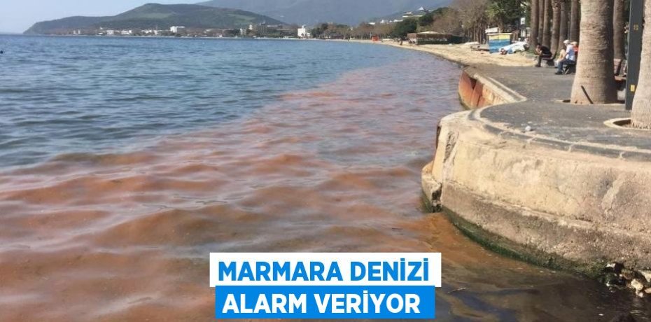 Marmara Denizi alarm veriyor