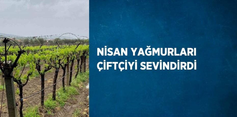 NİSAN YAĞMURLARI ÇİFTÇİYİ SEVİNDİRDİ