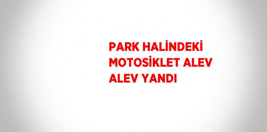 PARK HALİNDEKİ MOTOSİKLET ALEV ALEV YANDI