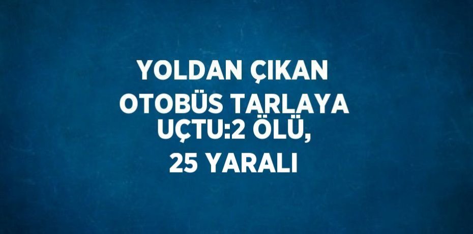 YOLDAN ÇIKAN OTOBÜS TARLAYA UÇTU:2 ÖLÜ, 25 YARALI